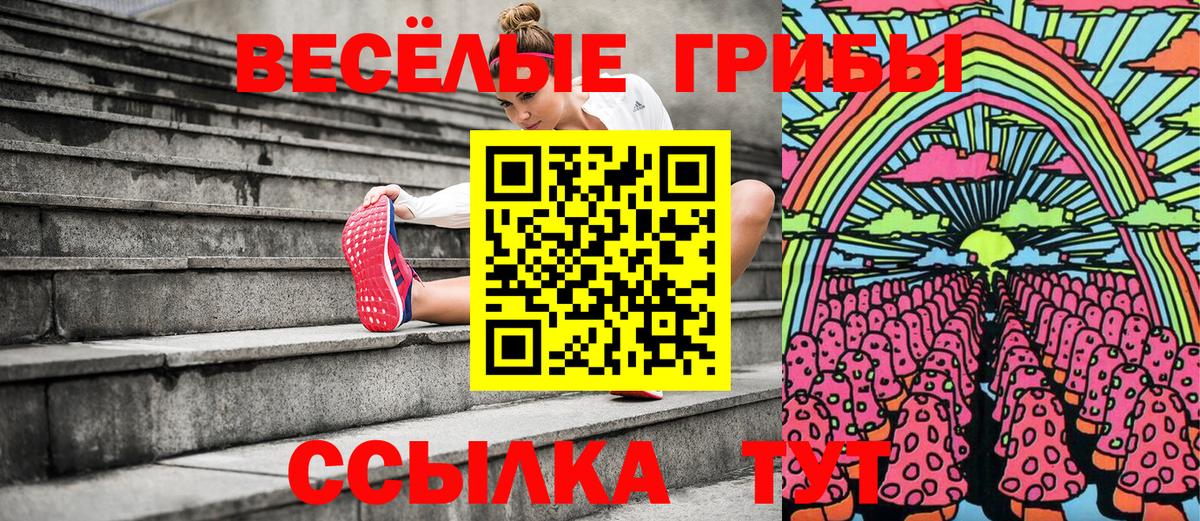Галлюциногенные грибы мицелий Красногорск
