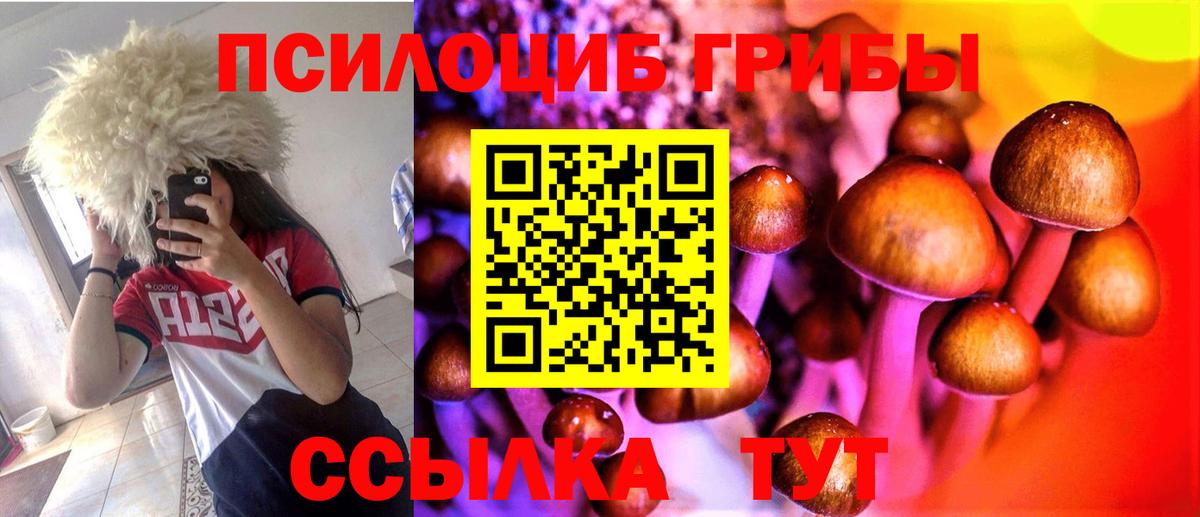 как найти закладки  Вход с VPN  Псилоцибиновые грибы мухоморы  Красногорск  Псилоцибиновые грибы Psilocybine cubensis 